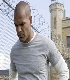 cliquez ici pour voir l'image (cell09.jpg)